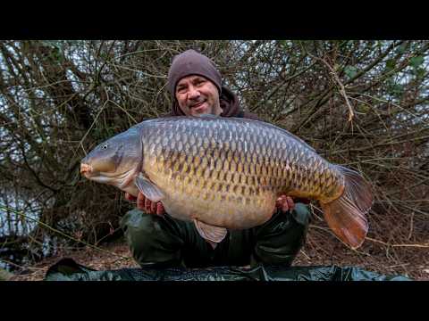 Big Winter Carp Capture | 57lb 3oz Common