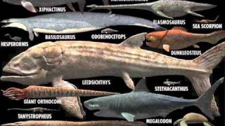 Nicki French - Is There Anybody Out There (Extended)