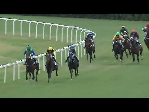 2023.07.30. 2. Futam - LOMNICZI BÉLA EMLÉKVERSENY - NYERETLEN KÉTÉVESEK VERSENYE (IV.kat.)