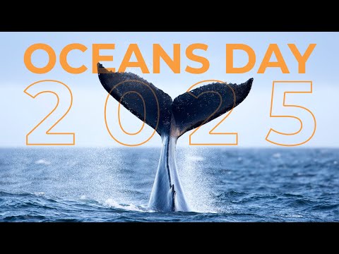 World Oceans Day 2025