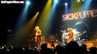 Sick Puppies - Should've Known Better Live - 1080P HD @ Patronaat, Haarlem, Netherlands