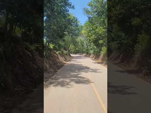 conduciendo por la vía Nechí-caucasia #shorts