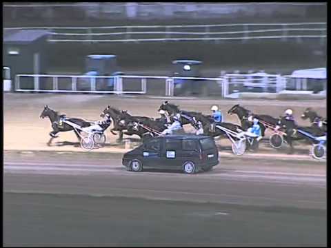 Trotto 26/10/2014 - 7° corsa