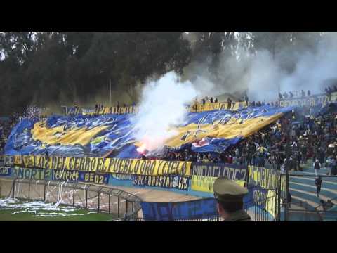 "LOS DEL CERRO / EVERTON Nunca te voy a dejar" Barra: Los del Cerro &bull; Club: Everton de Viña del Mar