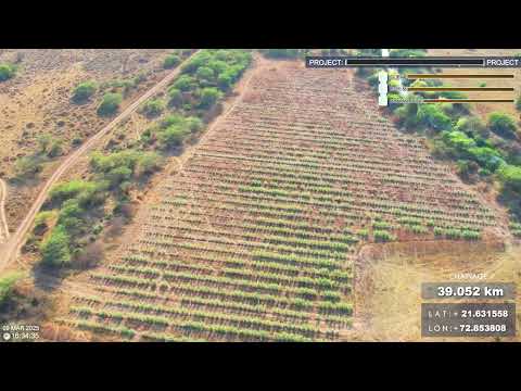 Project video