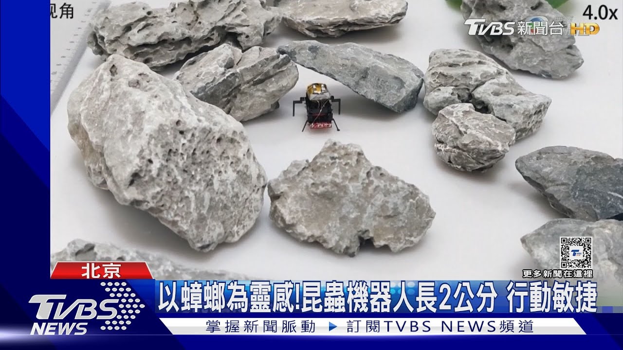 蟻人成真！北京研發仿生機器昆蟲　可穿梭石縫搜救、檢視大型機器