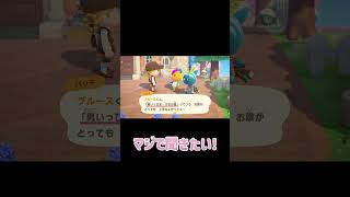 ブルース君の十八番の「男いっぴき けもの道」【あつ森】