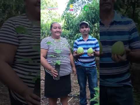 San Pedro del Norte Chinandega #agua #naturaleza