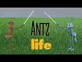An Antz Life