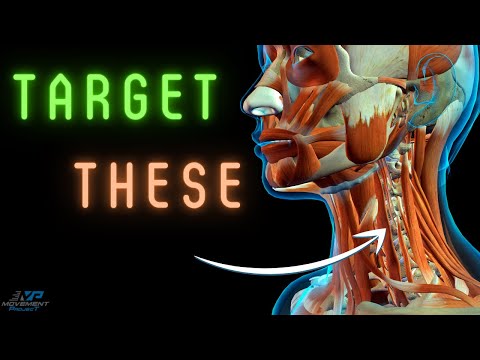 Deep Neck Flexor Exercise - Deep Cervical Flexor Strengthening PT