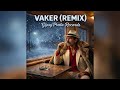 Vaker Remix GipsyPrala Records Official Audio