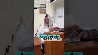 Alcool, piscine, douches… jusqu’à TishabeAv - Interdire le permis ?