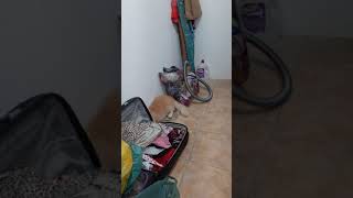 Lees Futebol Clube #shorts