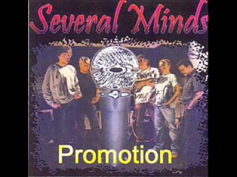 It never can bring me down - Several Minds