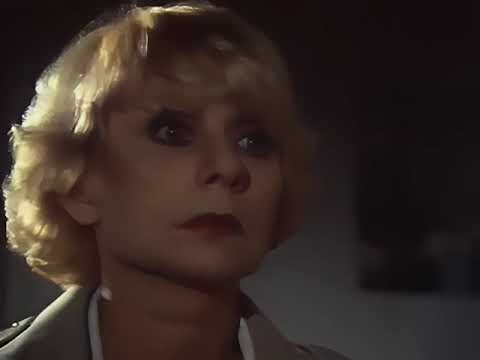 Madame SOS S01E06 Un visage pour deux hommes HD