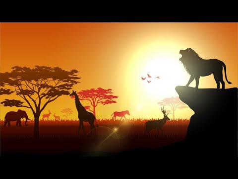 THE CIRCLE OF LIFE  |  Meditation Music, Calming, Lion King Soundtrack, Elton John