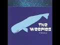 06 ◦ The Weepies - All This Beauty, Hideaway & Little Bird (Demo Length Versions)