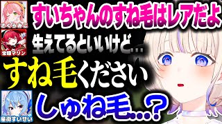 すいちゃんにすね毛を貰いに行くばんちょー【ホロライブ切り抜き/轟はじめ/星街すいせい/火威青/さくらみこ/宝鐘マリン/博衣こより/ReGLOSS/DEV_IS】