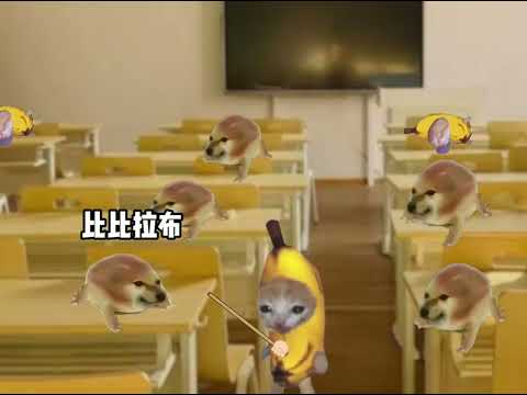 我的刀盾，比比拉布 #貓meme #抽象 #我的刀盾 #搞笑