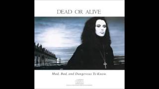 Dead or Alive - Something In My House (Phil Harding Remix) [12&quot; Version]