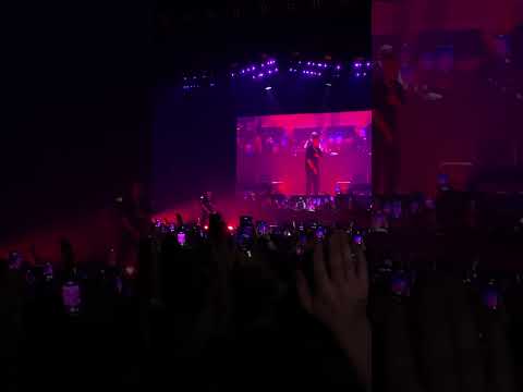 LUCIANO Live | Beautiful Girl