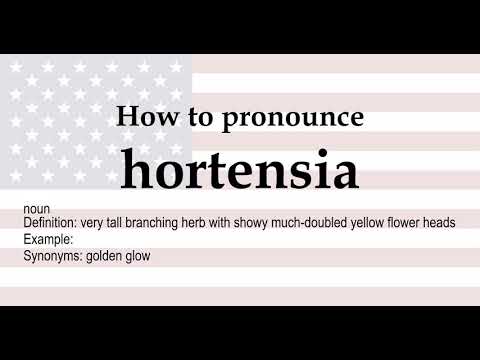 How to pronounce 'hortensia' + meaning