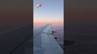 FLORDIA💕❤️ #frankocean #beautiful #shortsfeed #viral #sky #airplane #vacation #soccer #tournament