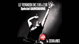 ZEBRAMIX Spécial Gainsbourg