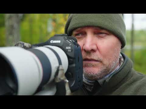 Guardians of the Forest