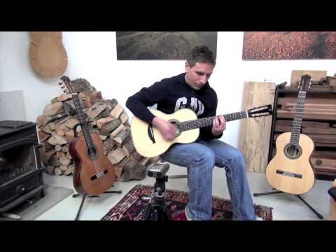 CHRIS FRY improvises on BEAUCHAMP 028VS guitar