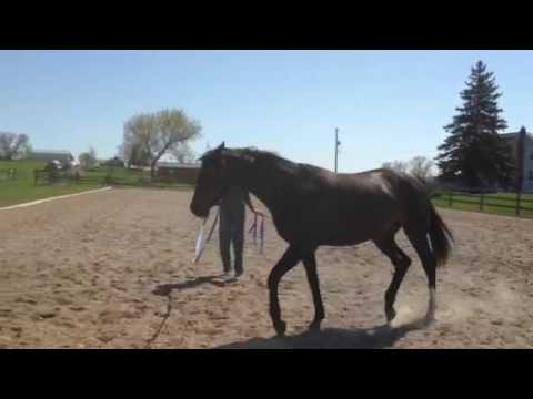 Delorean 2016 part 2