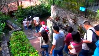 preview picture of video 'Practica de Métodos en el Eco-parque Nogueras COMALA'