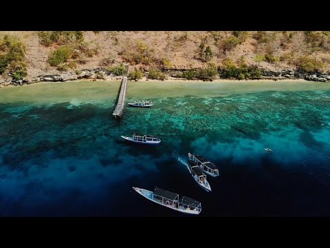 Dillon Francis & ILLENIUM - Don't Let Me Let Go ft. Evan Giia (Lyrics)