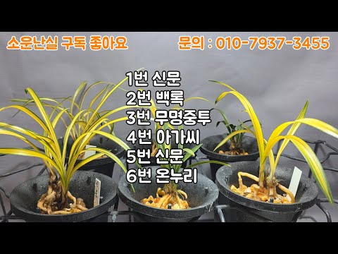 유튜브 썸네일