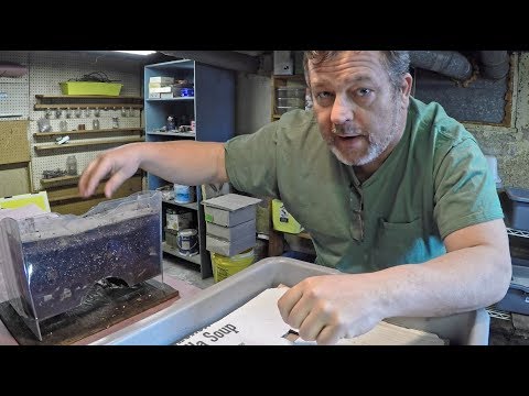 Emptying the time-lapse worm bin's contents - red wiggler farm