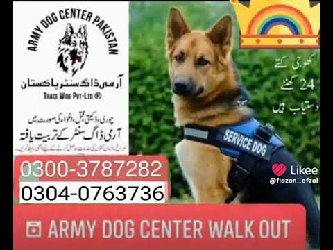 𝗔𝗿𝗺𝘆 𝗱𝗼𝗴 𝗰𝗲𝗻𝘁𝗲𝗿 𝗿𝗮𝗵𝗶𝗺 𝘆𝗮𝗿 𝗸𝗵𝗮𝗻 03404081110