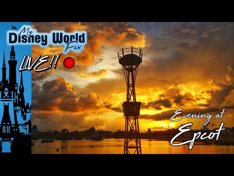 [MDWF LIVE!! 🔴] An Evening at Epcot 6-23-19