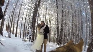 Couple's Beautiful Snowy Wedding Video Was Captured By GoPro Wearing Husky