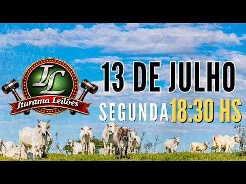 Iturama Leilões - Iturama  MG - 13 de  Julho 2026