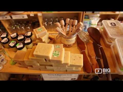 Bee Sustainable a Natural Food Store in Melbourne selling Honey and Book