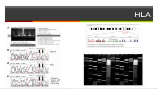 DIAGNOSTICO MOLECULAR PCR