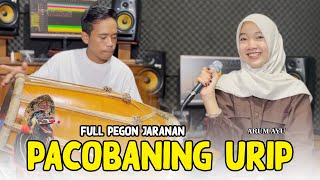 Download lagu Pacobaning Urip versi Full Pegon Jaranan Gayeng - Arum Ayu mp3