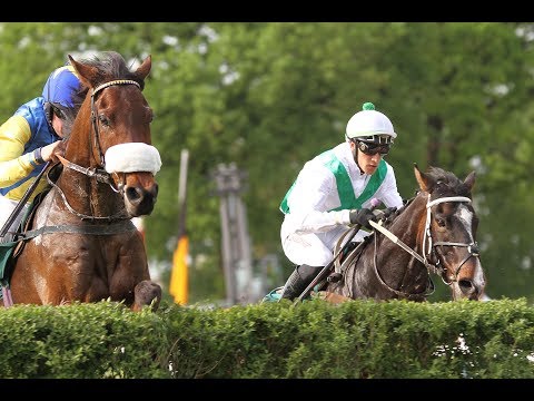 Mannheim: 115.  Grosses Heinrich-Vetter - Badenia-Jagdrennen (L) - Sieger: Northerly Wind
