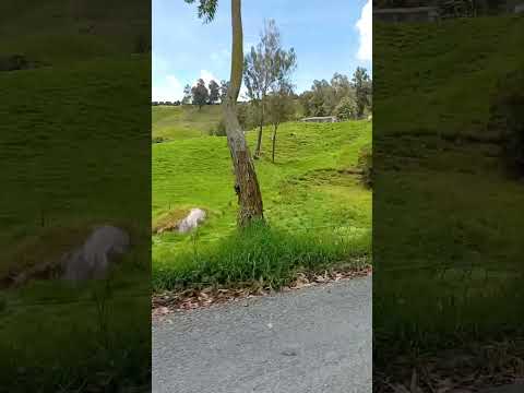 aventura de entrerrios a Don Matías
