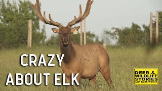 Elk Farming "Crazy About Elk"  | Deer & Wildlife Stories