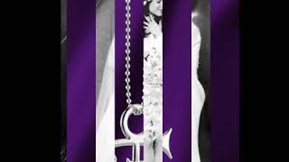 Let&#39;s have a baby PRINCE