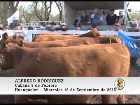16-09-15 Nota Alfredo Rodriguez - Los Colorados de Huanguelen - Huanguelen