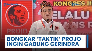 Bongkar 'Strategi' Projo Ingin Gabung Partainya Prabowo, Analis Komunikasi Politik: Strategi Jokowi