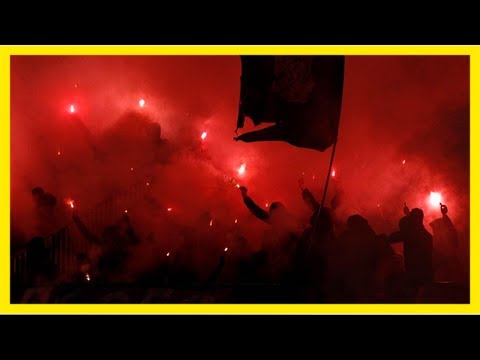 Blutige fan-schlacht in belgrad: mehrere verletzte bei schlägerei