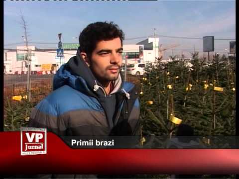 Primii brazi